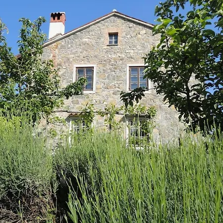 A Lovely House In Vipava Valley Exterior photo