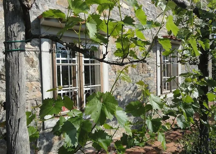 A Lovely House In Vipava Valley