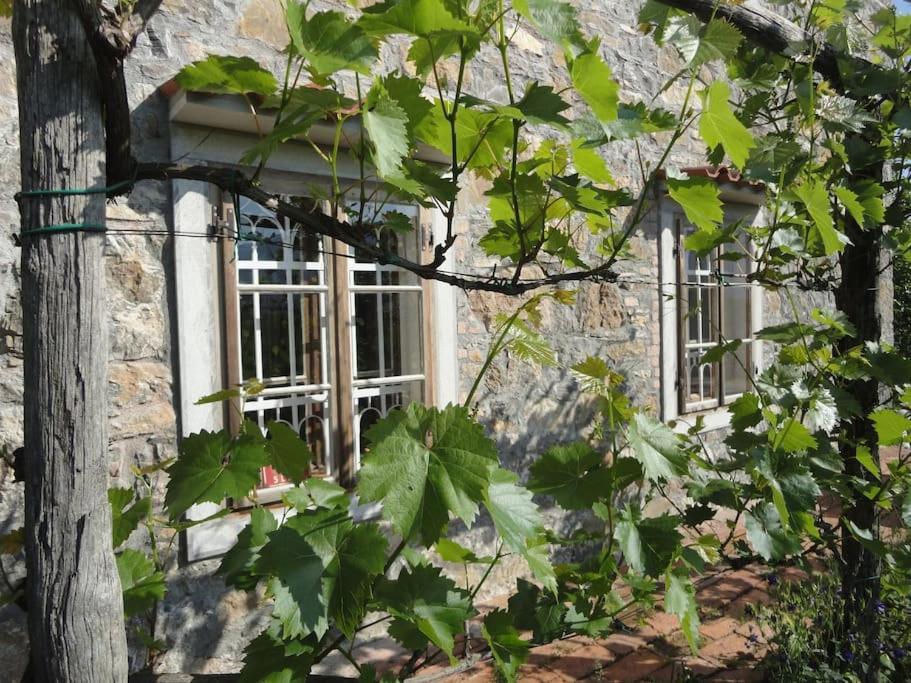 Holiday home A Lovely House In Valley Vipava